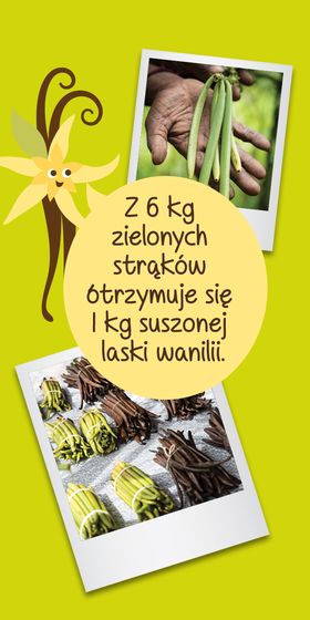 Picture - (max-width: 767px)