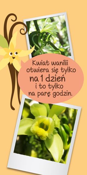 Picture - (max-width: 767px)