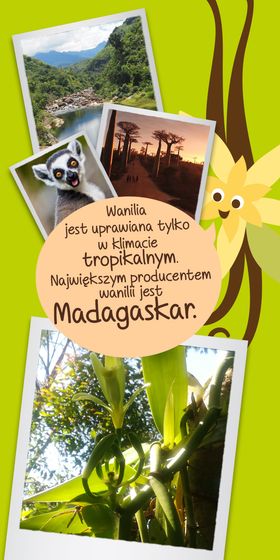 Picture - (max-width: 767px)