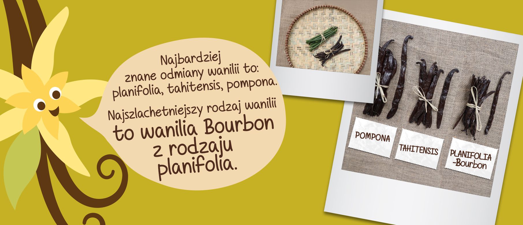 Picture - (min-width: 768px)