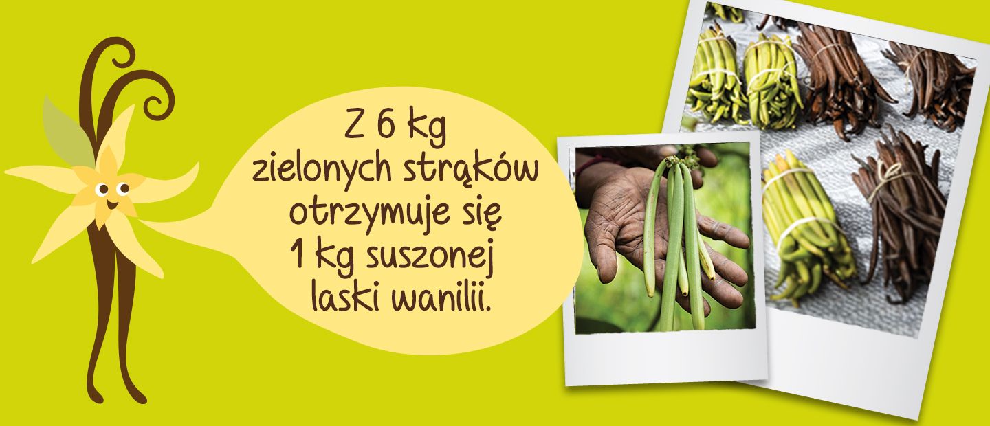 Picture - (min-width: 768px)