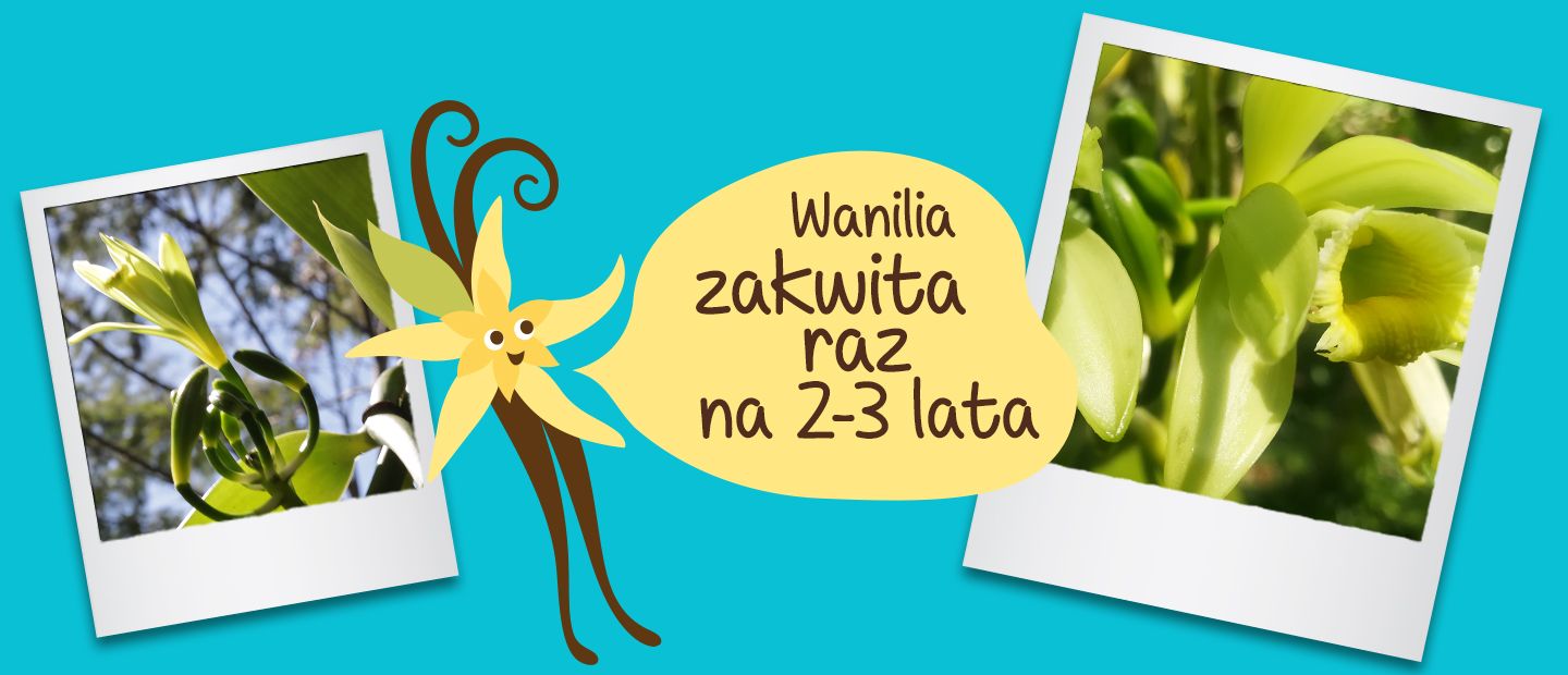 Picture - (min-width: 768px)