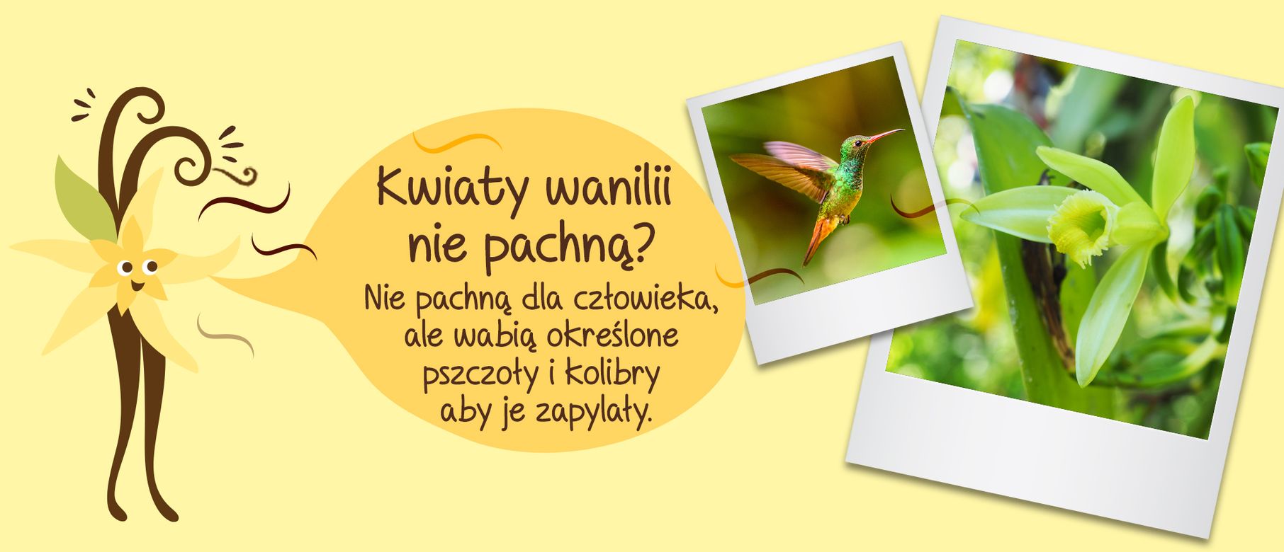 Picture - (min-width: 768px)