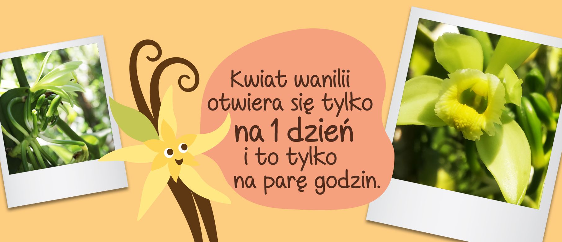 Picture - (min-width: 768px)