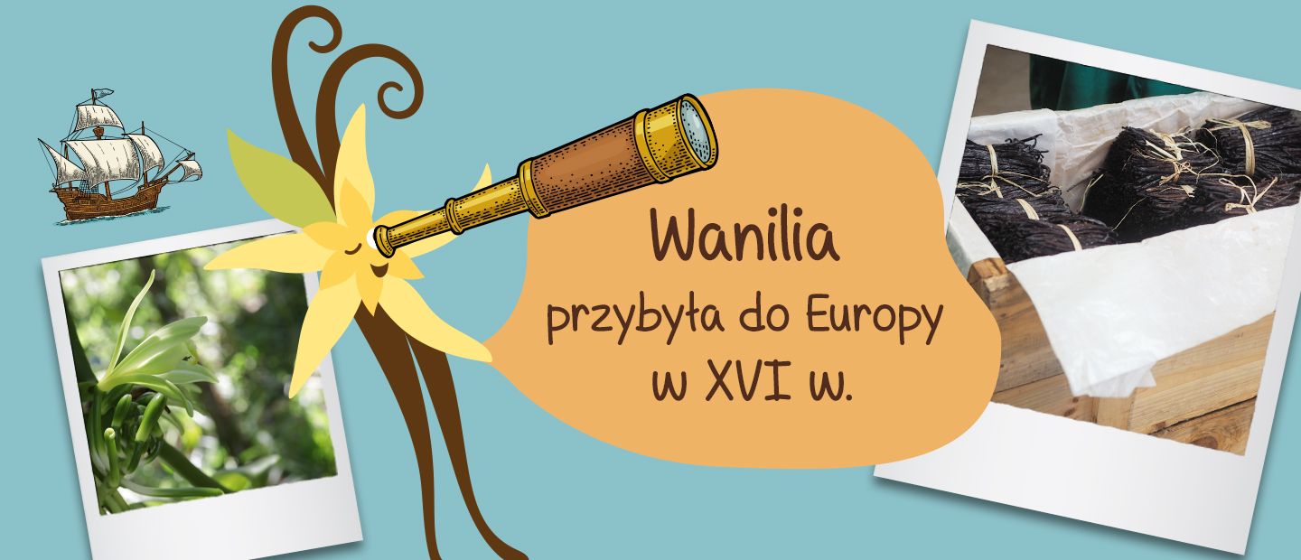Picture - (min-width: 768px)