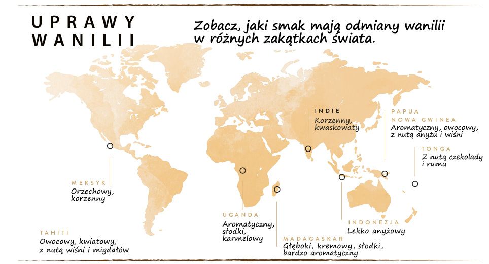Infografika przedstawiająca profile smakowe wanilii z różnych krajów: Meksyk (orzechowy, korzenny), Tahiti (owocowy, kwiatowy, wiśnia, migdały), Uganda (słodki, karmelowy), Madagaskar (kremowy, bardzo aromatyczny), Indie (korzenny, kwaskowaty), Papua Nowa Gwinea (owocowy, anyż, wiśnia), Tonga (czekolada, rum), Indonezja (lekko anyżowy)