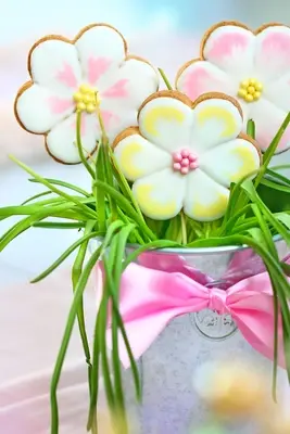 Picture - (max-width: 767px)